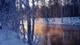 Картинка: Деревья в снегу у озера