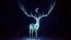 Картинка: Сияющий олень с большими рогами на фоне звёздного неба