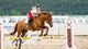 Image: Horse riding