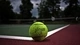 Картинка: Теннисный мяч лежит на разметке