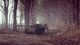 Image: Tanks in the woods