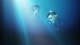 Картинка: Путешествие медуз