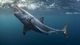 Картинка: Белая акула подплывает к поверхности воды