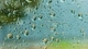 Картинка: Капли дождя на стекле