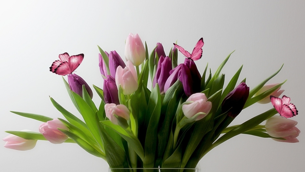 Image: Tulips, flowers, bouquet, leaves, butterflies