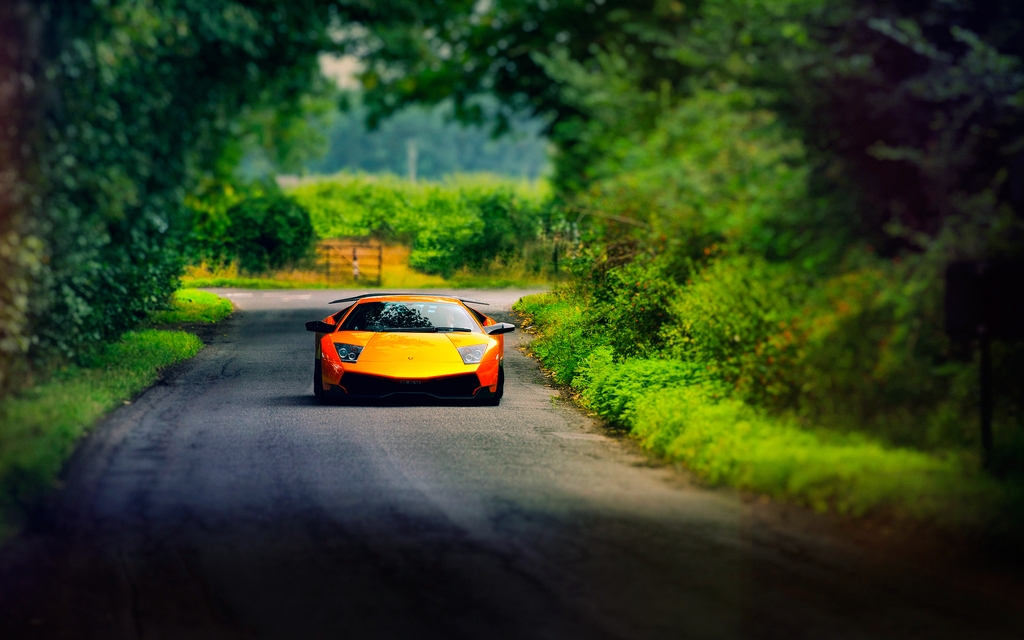 Image: Lamborghini, Murcielago, orange, road, trees