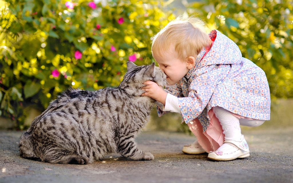Картинка: Маленькая девочка, ребёнок, кошка, поцелуй, ласка
