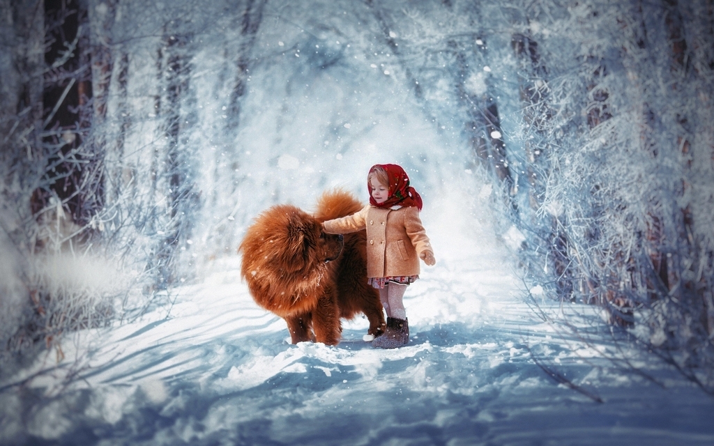 Картинка: Девочка, собака, Тибетский мастиф, дорога, лес, зима, снег