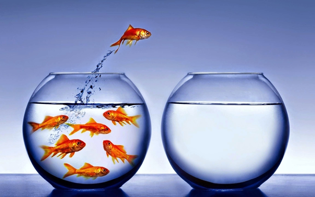 Картинка: Рыбки, аквариум, вода, капли, прыжок