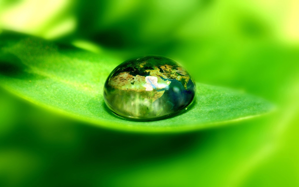 Image: Drop, water, macro, leaf, reflection, continent, Africa, Europe, fantasy