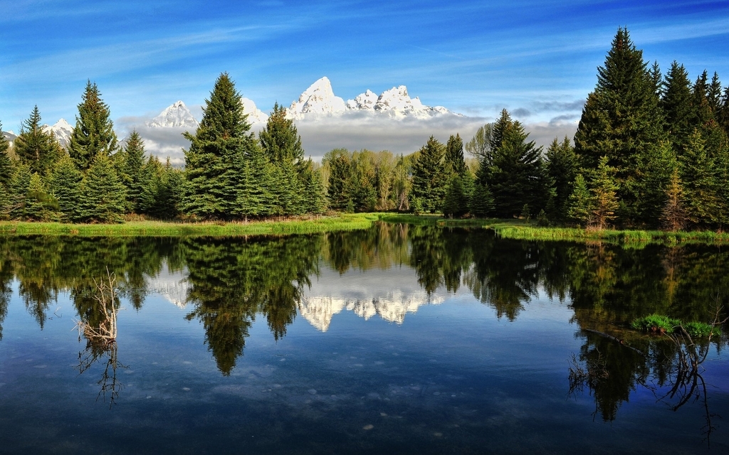 Image: Forest, lake, water, reflection, sky, mountains, spruce