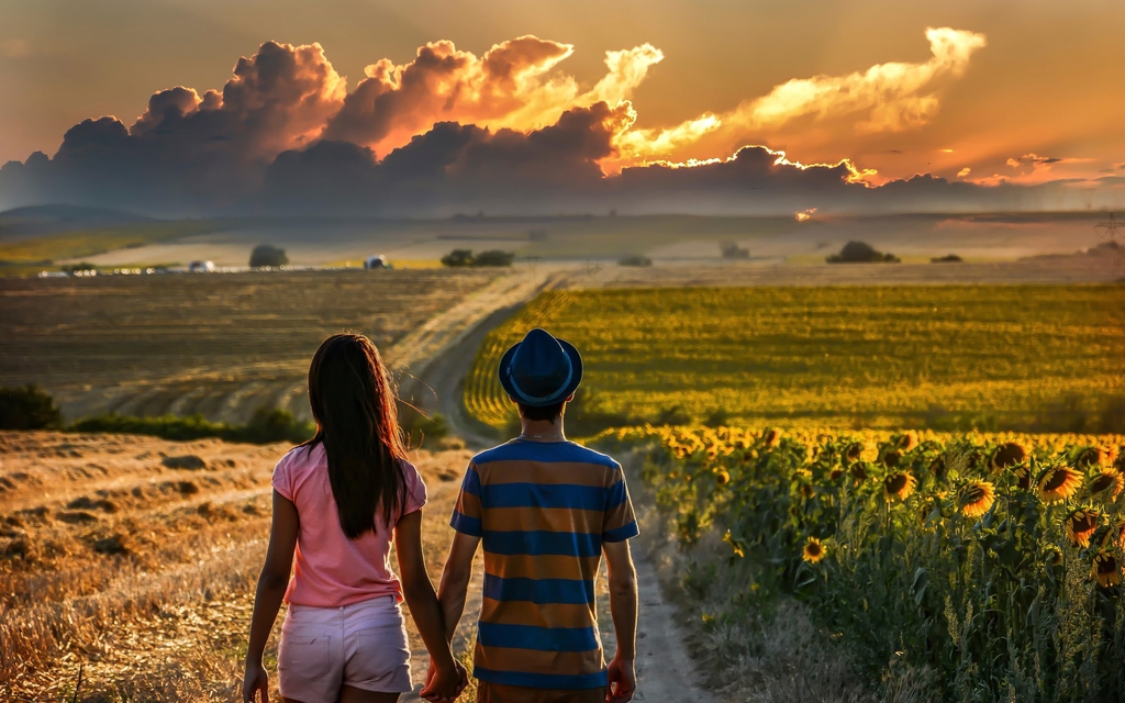 Картинка: Пара, мужчина, девушка, влюблённые, поле, подсолнухи, дорога, горизонт, вечер, облака