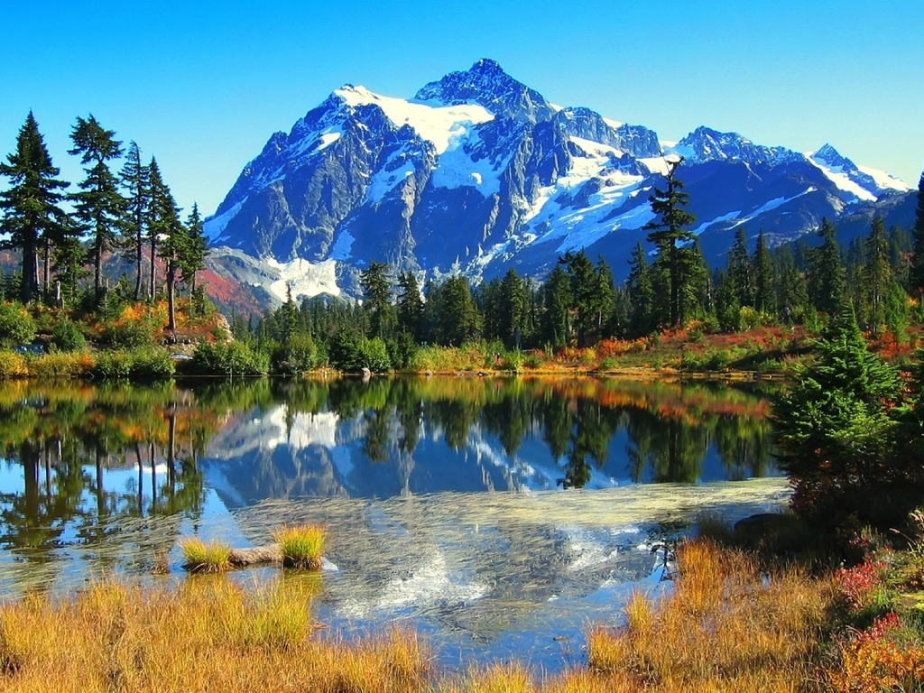 Картинка: Горы, озеро, деревья, отражение