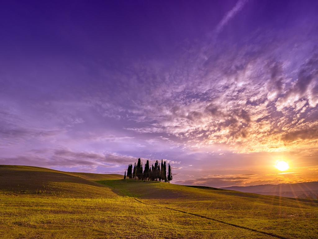 Картинка: Тоскана, Италия, поле, небо, облака, холмы, деревья, закат, пейзаж