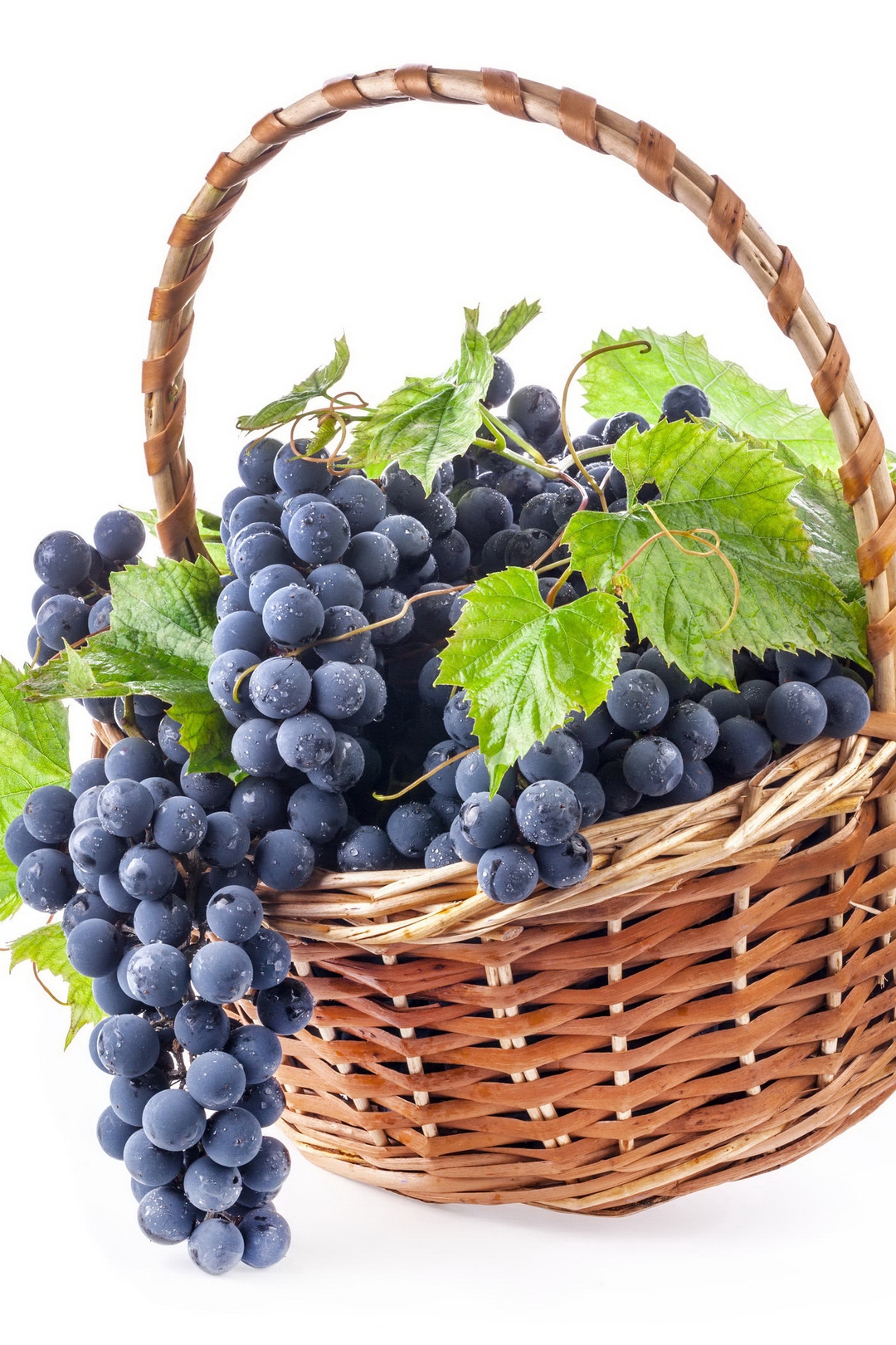 Картинка: Виноград, лоза, гроздья, листья, корзинка, белый фон