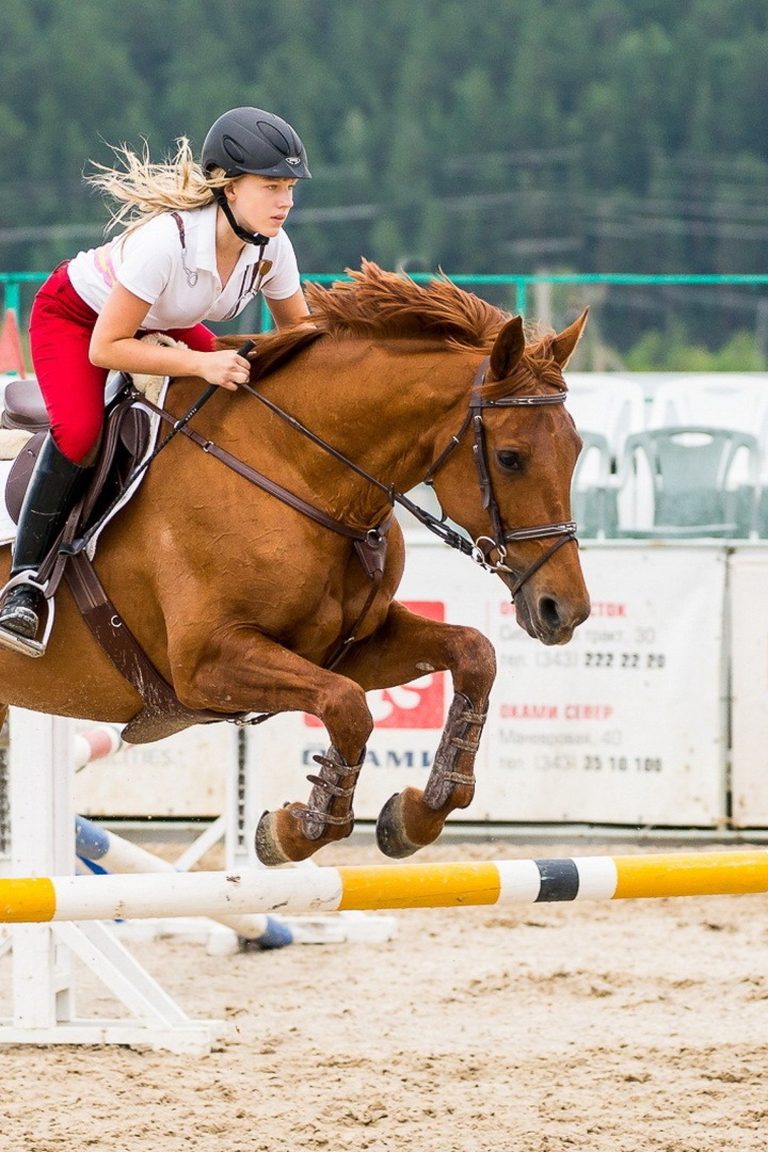 Image: Horse, jump, movement, girl, rider, helmet, outfit