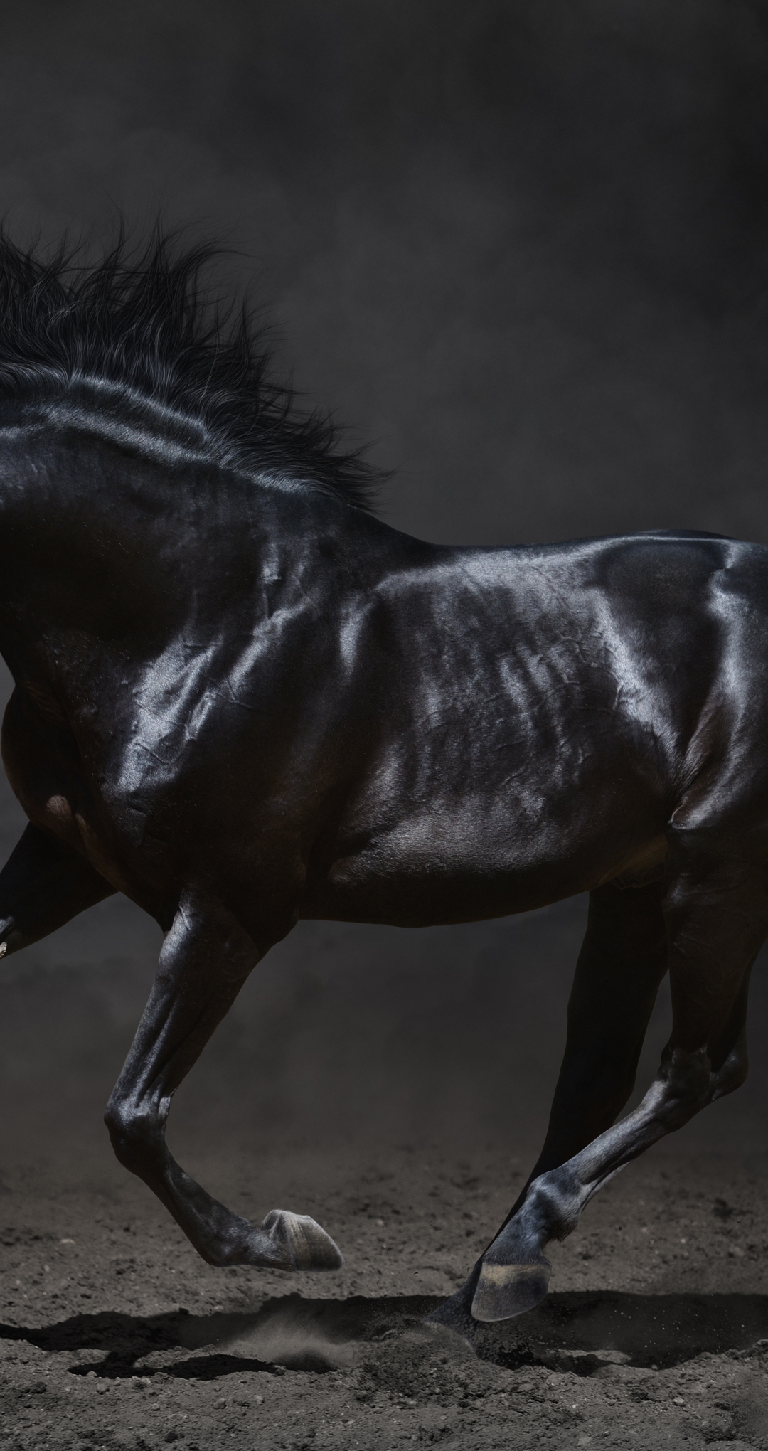 Картинка: Лошадь, чёрная, скачет, земля, красивая, пыль, дым