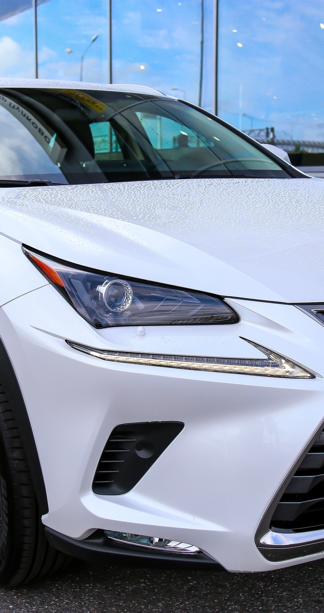 Image: Lexus, car, white