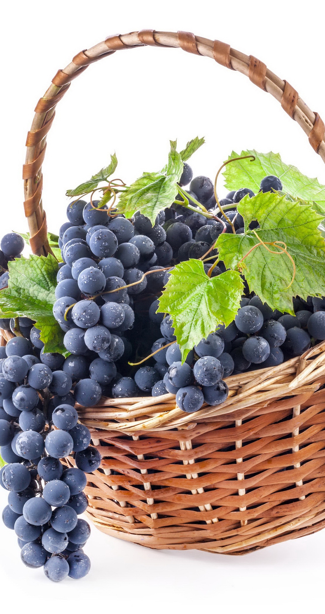 Image: Grape, vine, grapes, leaves, basket, white background