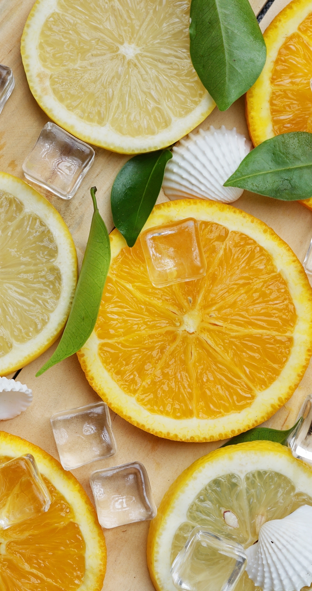 Image: Lemon, orange, slices, ice, shells