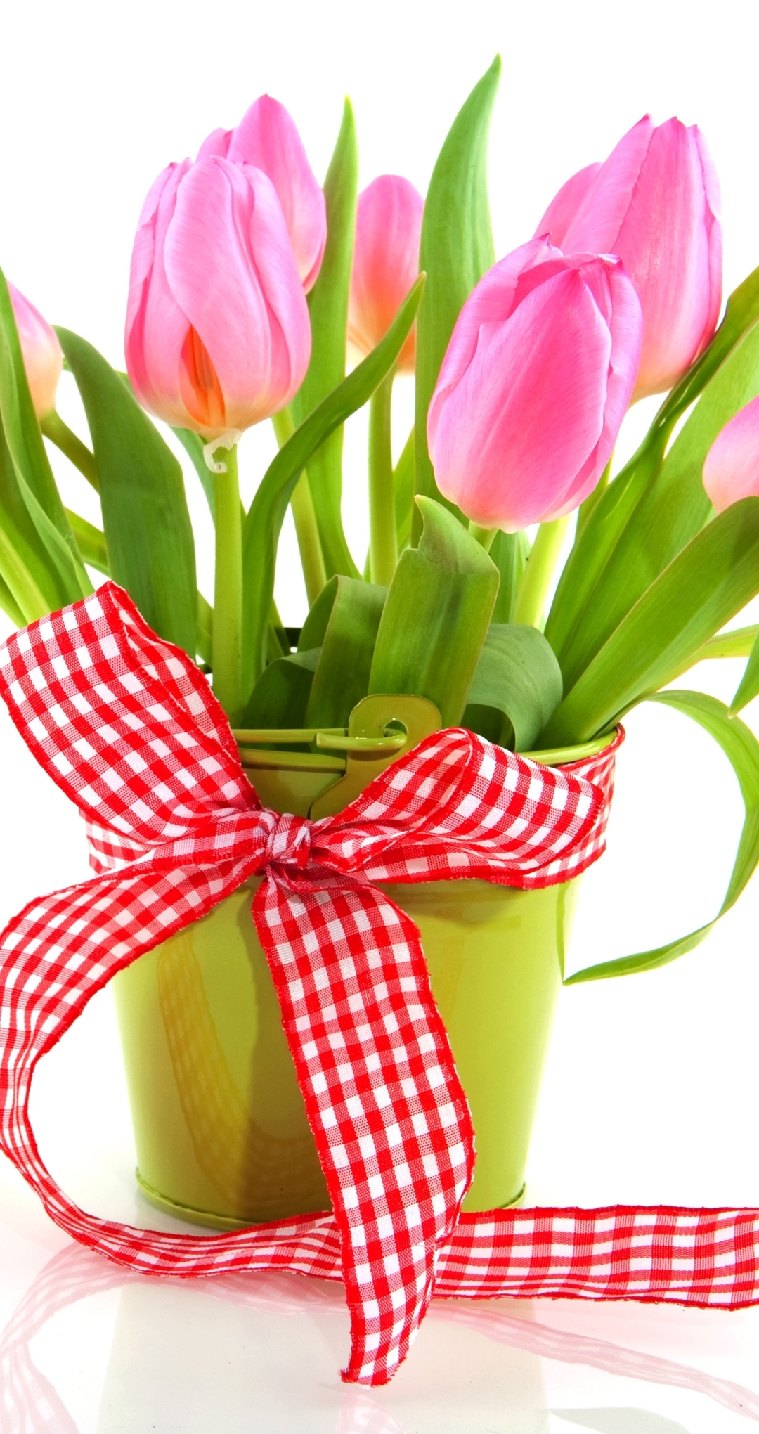 Картинка: Тюльпаны, цветы, букет, лента, ведро, праздник, весна, 8 марта, белый фон