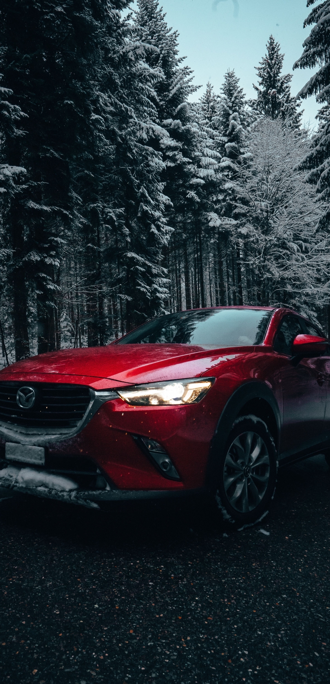 Image: Winter, forest, snow, road, trees, car, red, Mazda 6