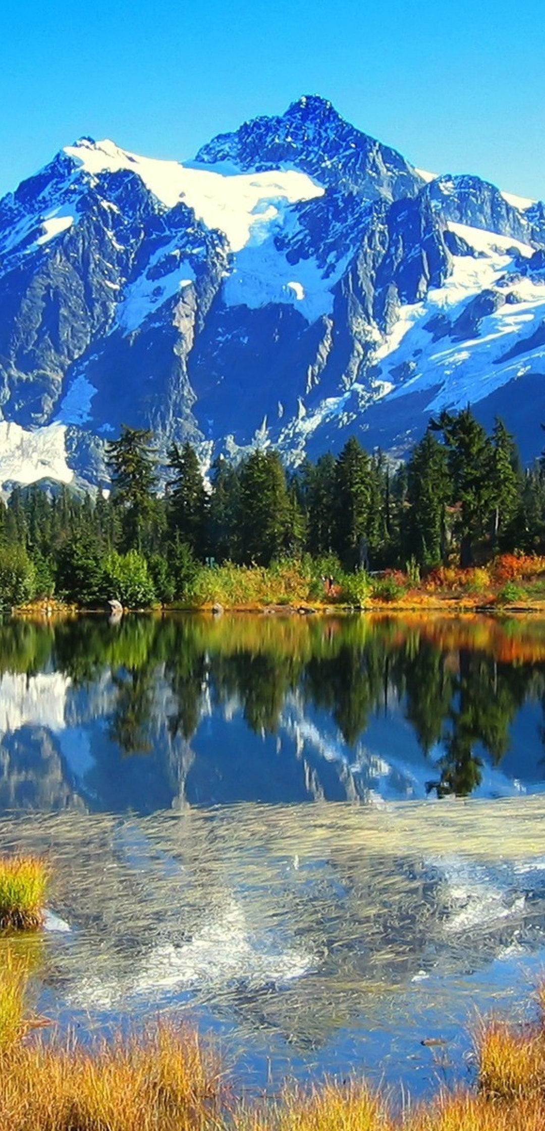 Image: Mountains, lake, trees, reflection