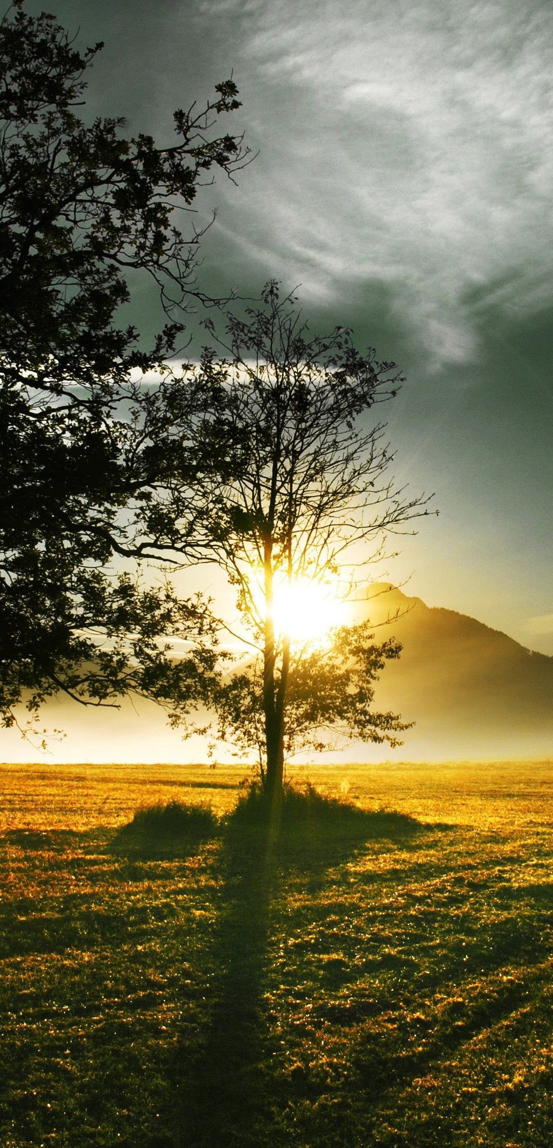 Картинка: Поле, закат, деревья, горы, небо, солнце