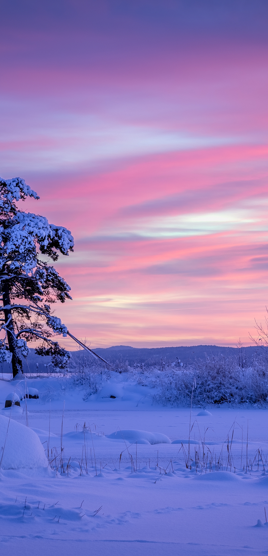 Скачать обои и картинки зима, снег, дерево, небо для рабочего стола в  разрешении 1080x2240