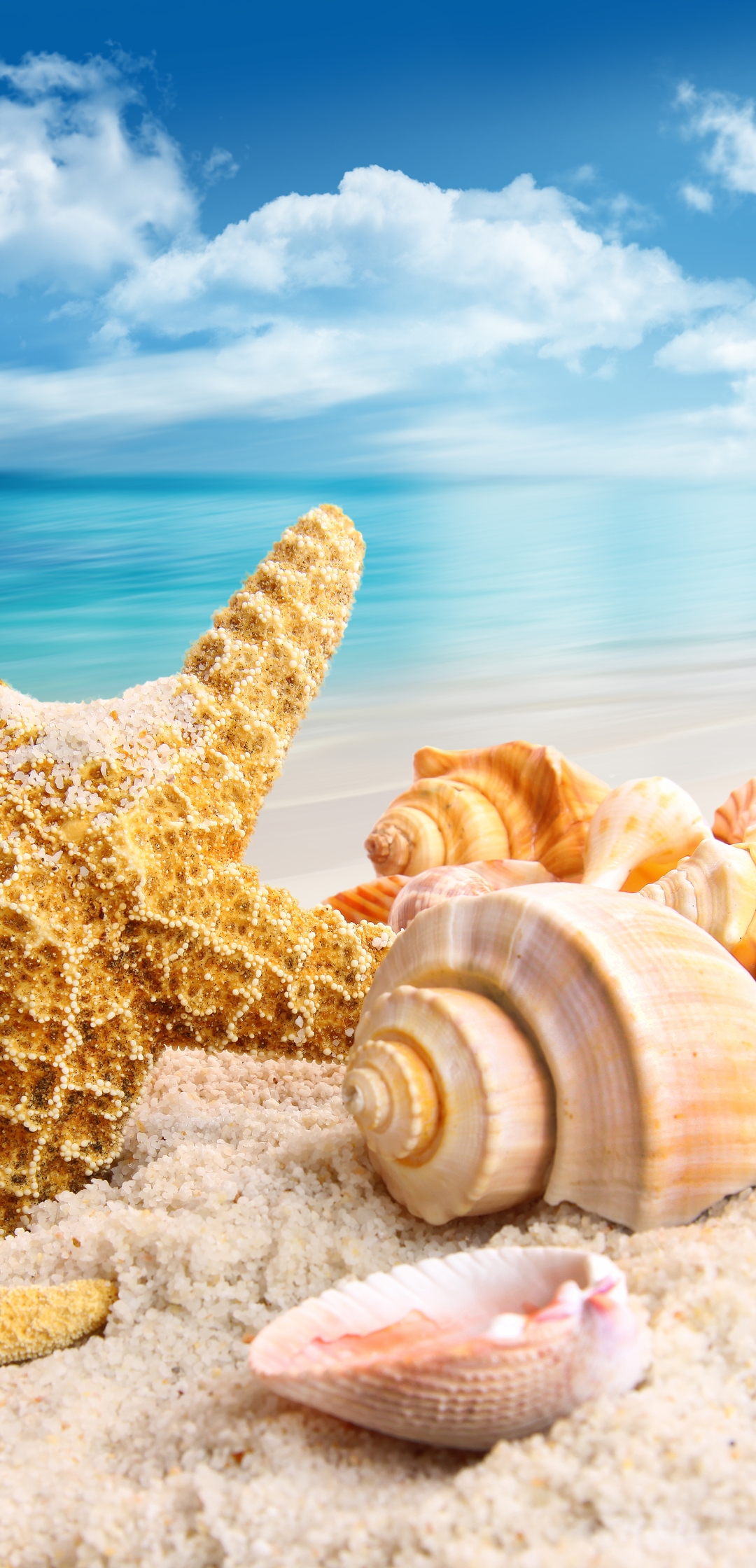 Image: Sea, sand, vacation, starfish, shells, sky
