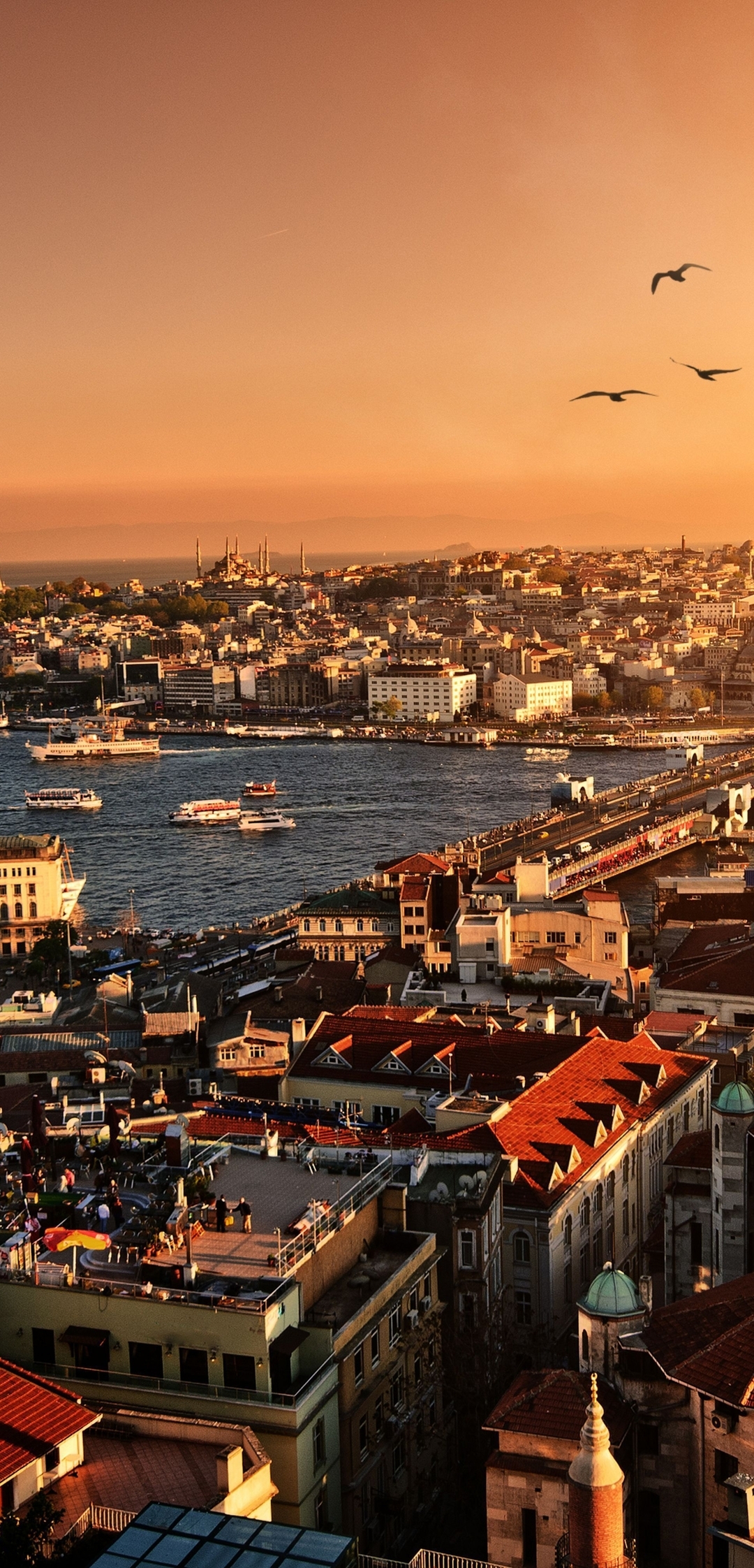 Картинка: Турция, Стамбул, пейзаж, город, река, Галатский мост, вечер, закат, солнце, птицы, стая
