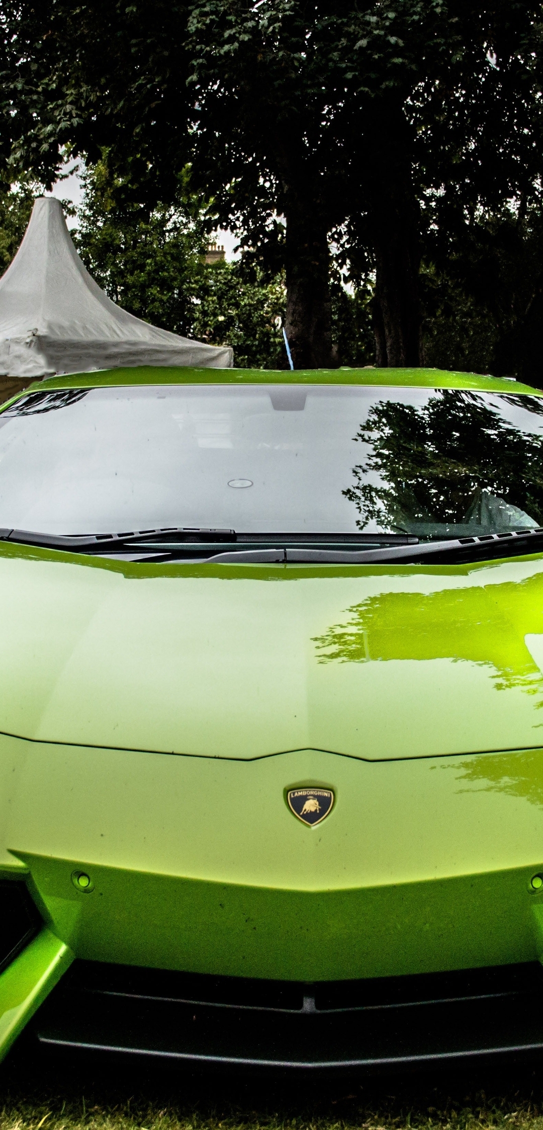 Картинка: Lamborghini, Aventador, LP 700-4, зелёный, суперкар, трава, здание, деревья