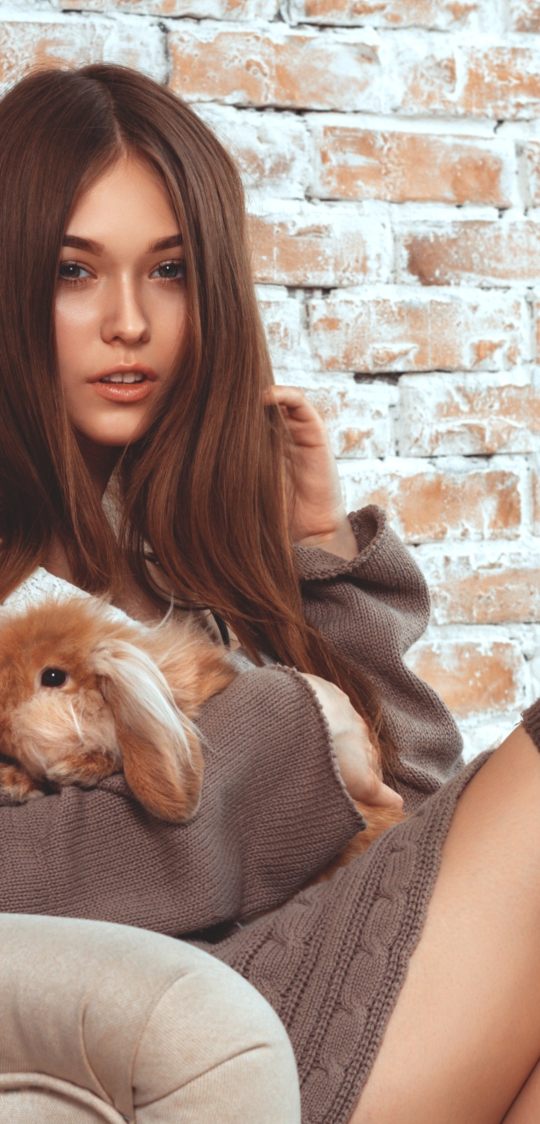 Image: Brunette, girl, long hair, rabbit, sitting, armchair, brick wall