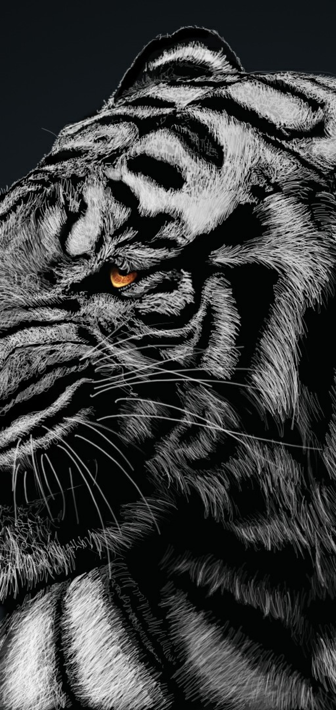 Картинка: Тигр, белый, хищник, полосы, опасность, серый, арт
