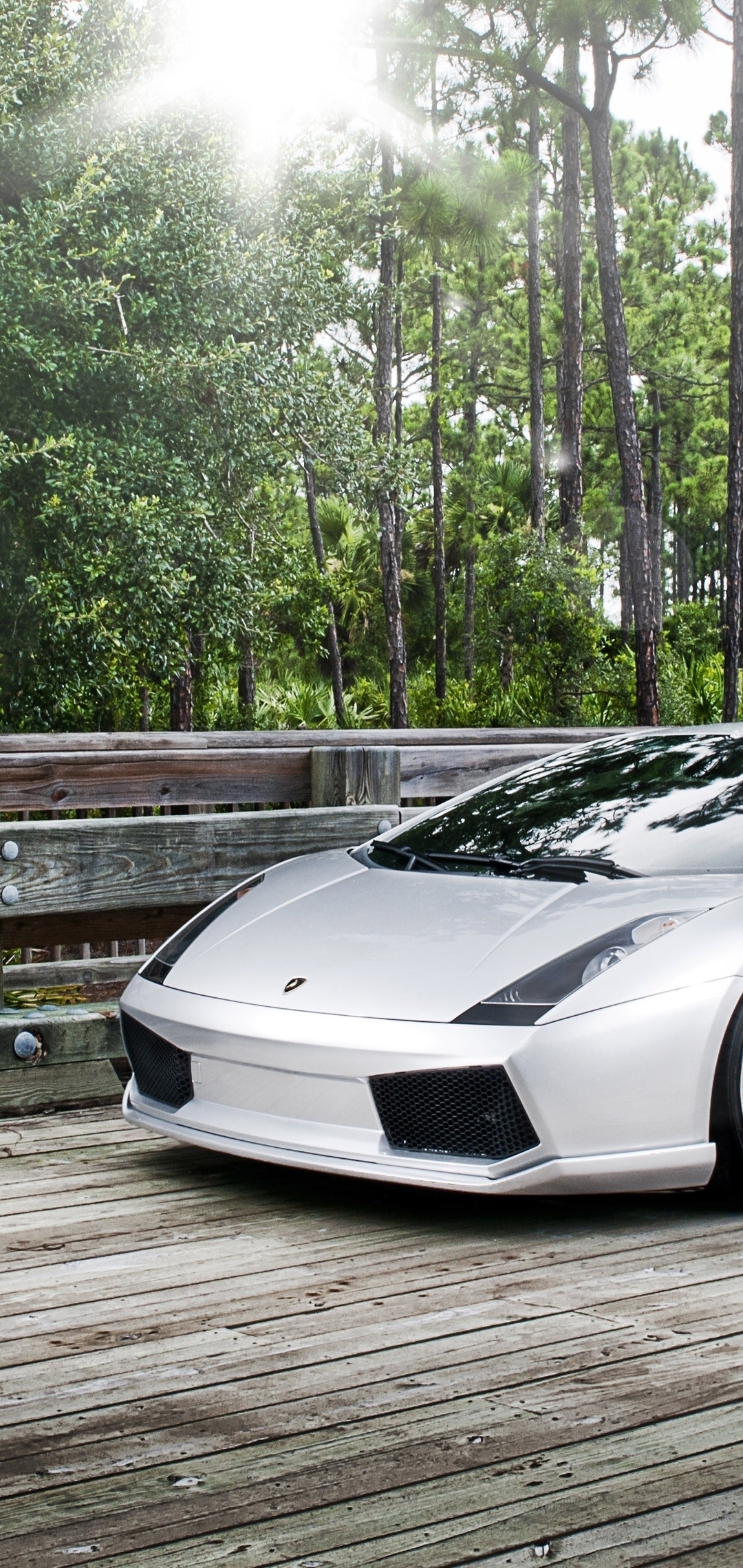 Картинка: Lamborghini, Gallardo, серебристый, суперкар, мост, доски, деревья, зелень