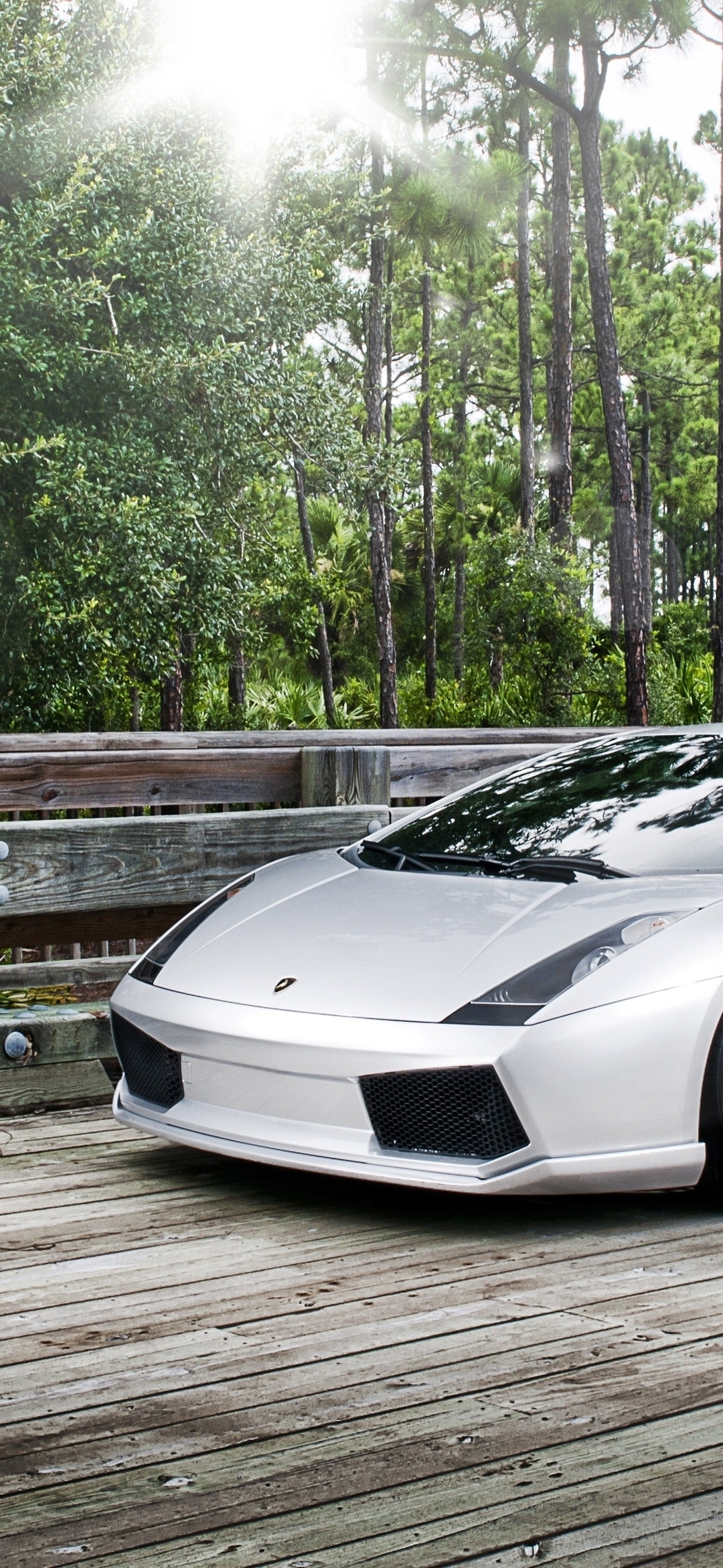 Картинка: Lamborghini, Gallardo, серебристый, суперкар, мост, доски, деревья, зелень