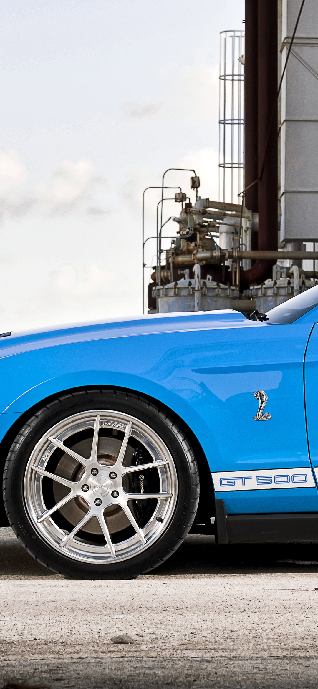 Image: Ford, Mustang, Shelby, GT 500, blue, wheel, fence, mesh