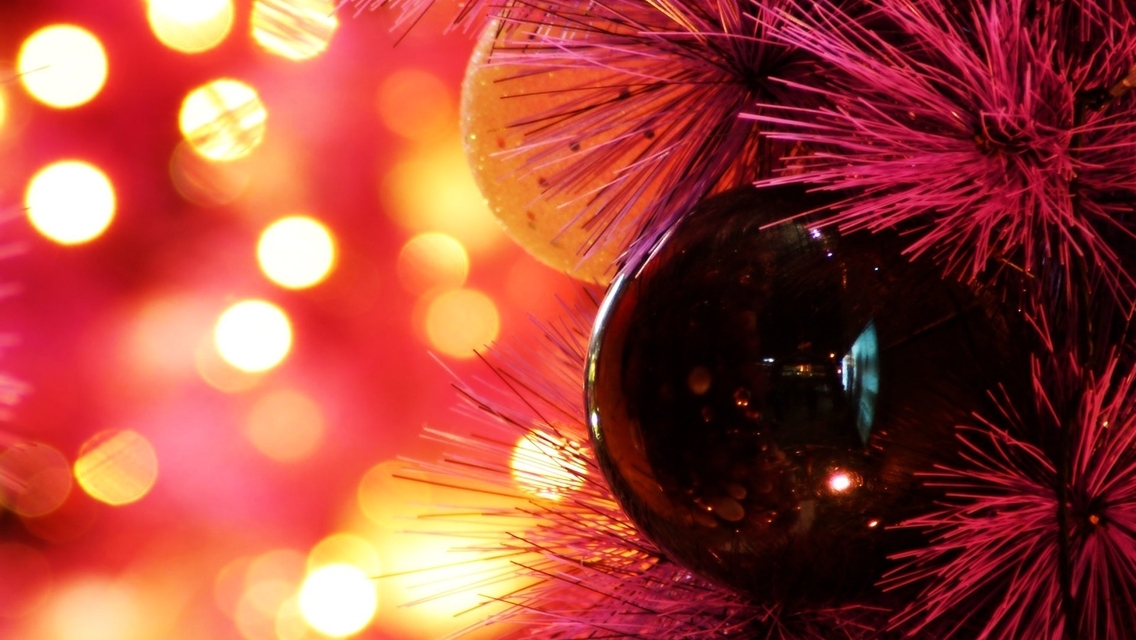 Image: Flare, bokeh, balls, branch, red background