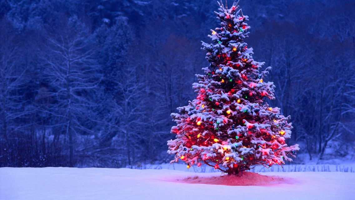 Картинка: Ёлочка, иголки, деревья, снег, гирлянда