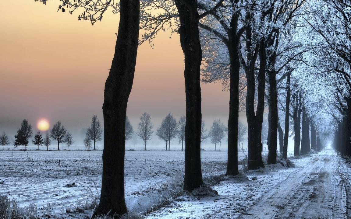Картинка: природа, зима, деревья, дорога, закат, солнце, лес