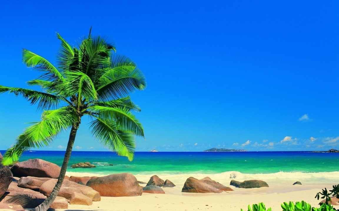 Image: nature, palm tree, ocean, sky, sand, stones