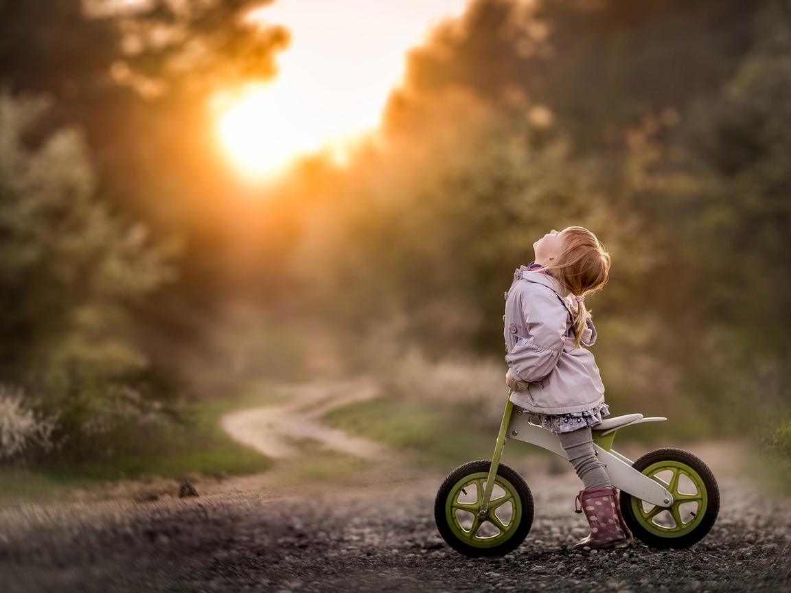 Картинка: Девочка, прогулка, велосипед, лето, вечер, закат, дорога, тропинка, деревья, лес
