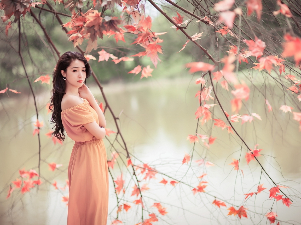 Картинка: Девушка, азиатка, длинные волосы, платье, река, вода, ветки, листья