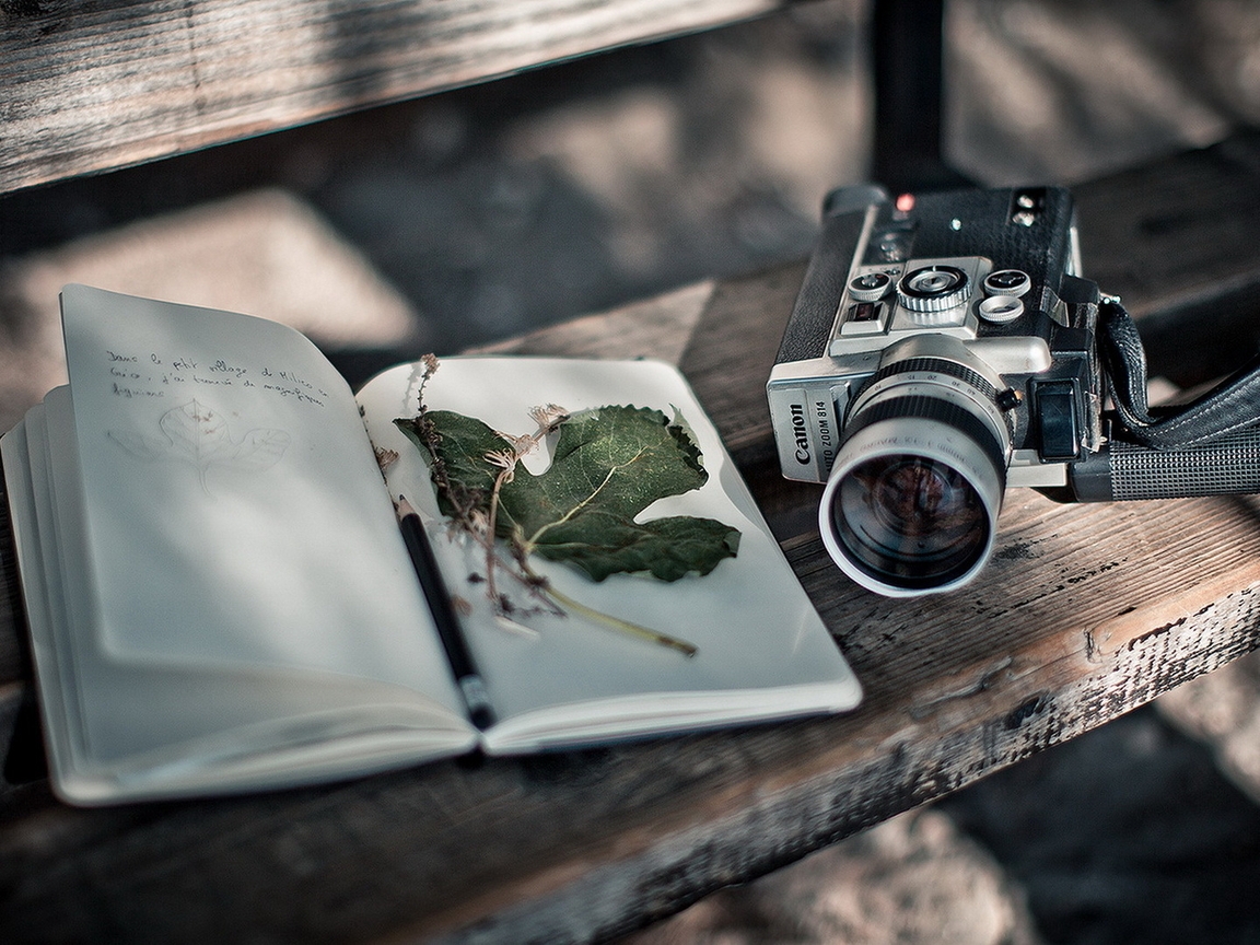 Картинка: Фотоаппарат, камера, Canon, книжка, листок, лежит, скамейка