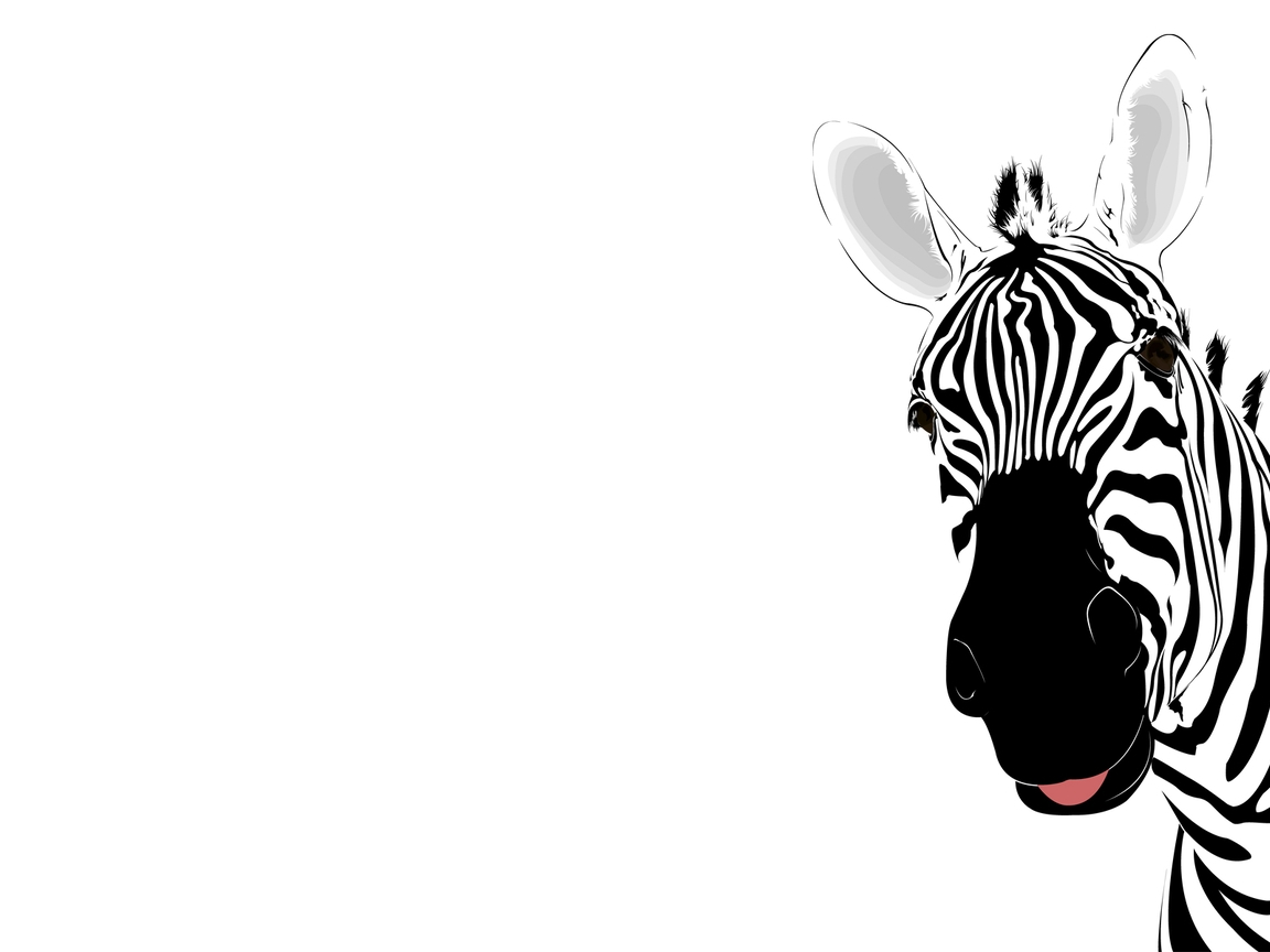 Картинка: Зебра, морда, полоски, чёрно-белое, белый фон