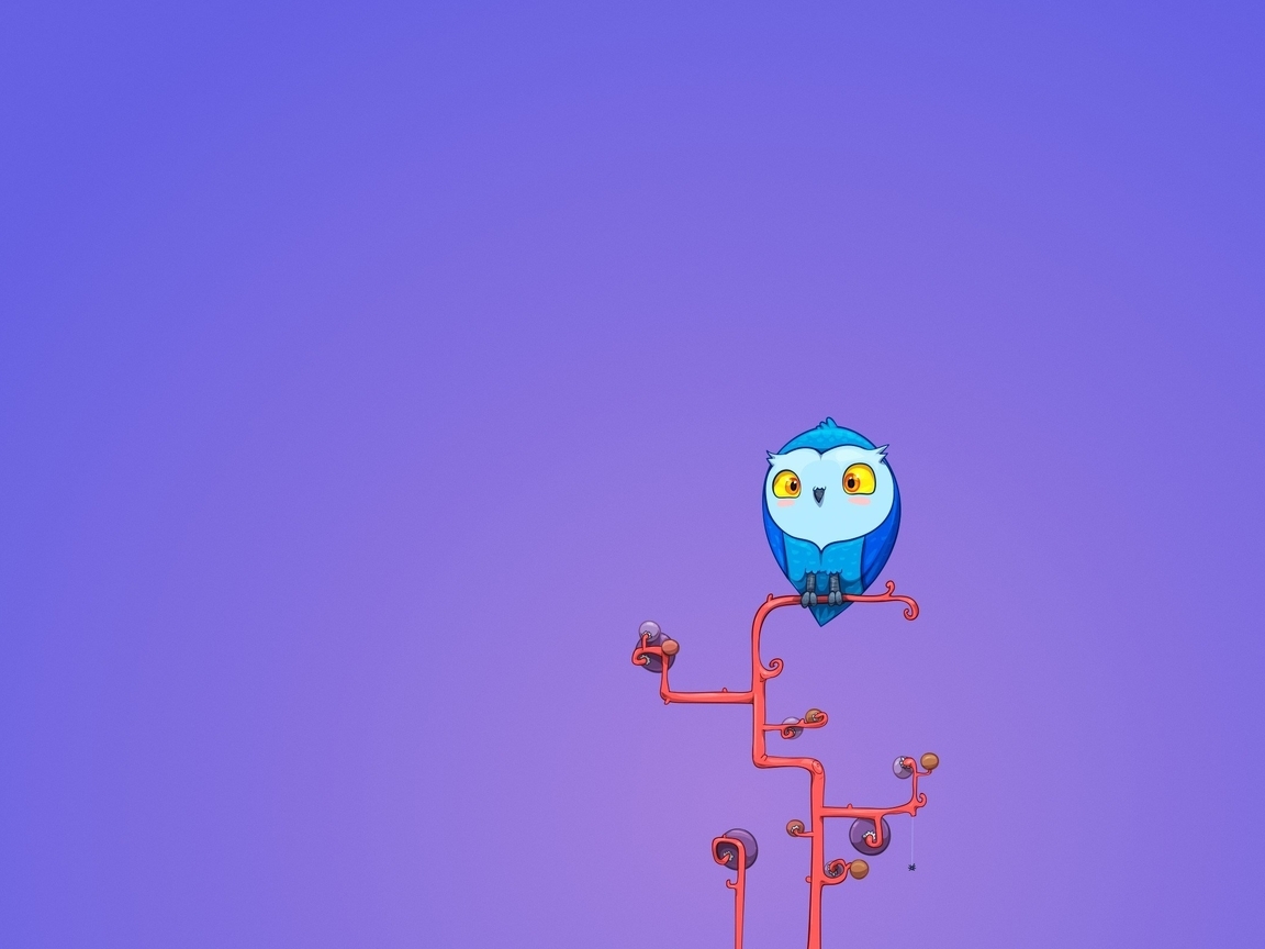 Image: Owl, sitting, branch, pattern, background