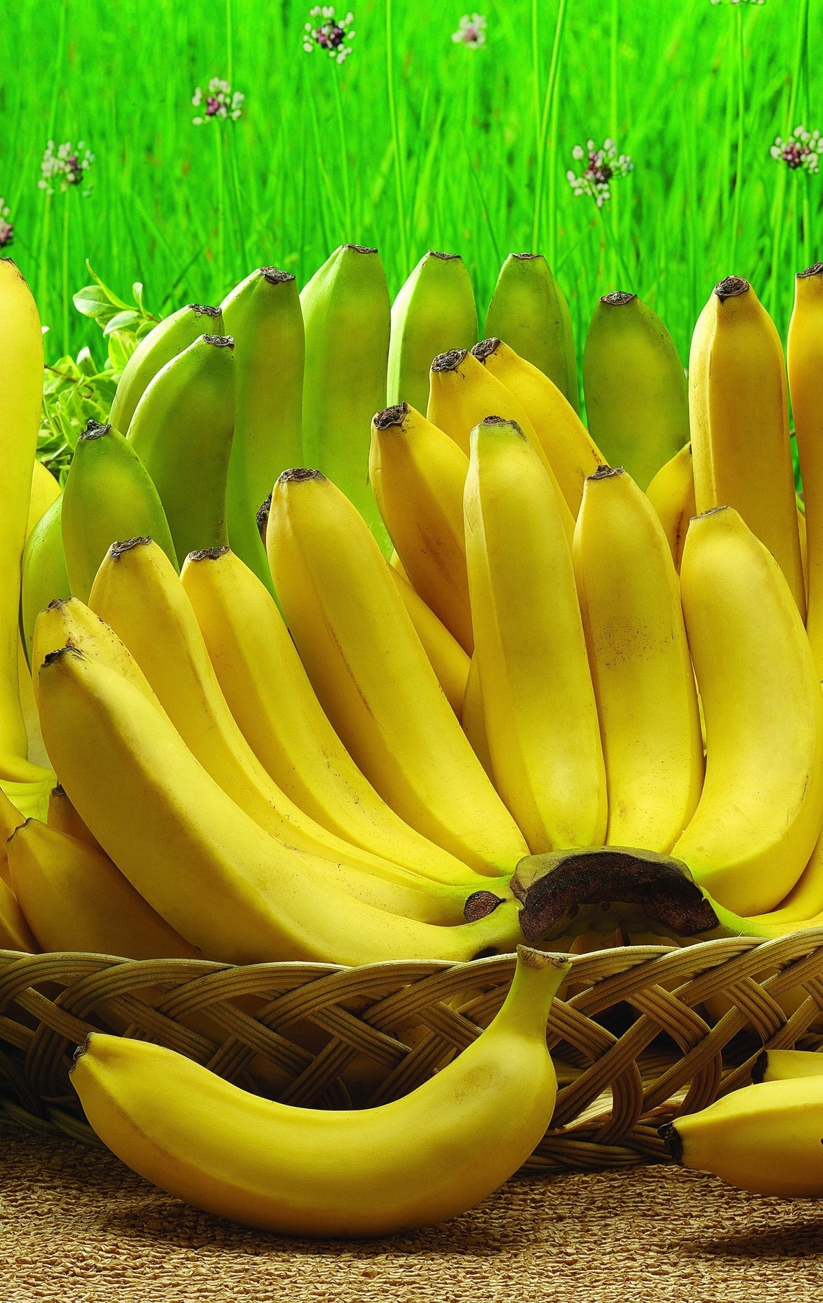 Картинка: Бананы, фрукты, корзина, лежат, желтый, трава, ромашки, цветы