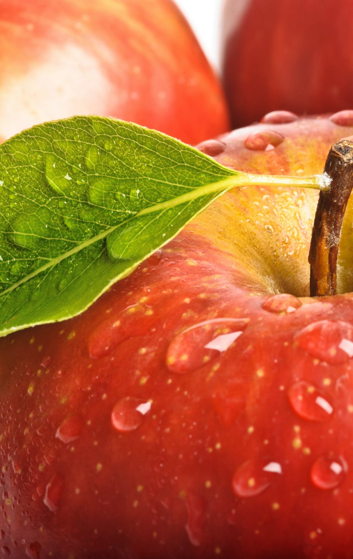 Image: Apples, red, fruit, leaf, water, drops