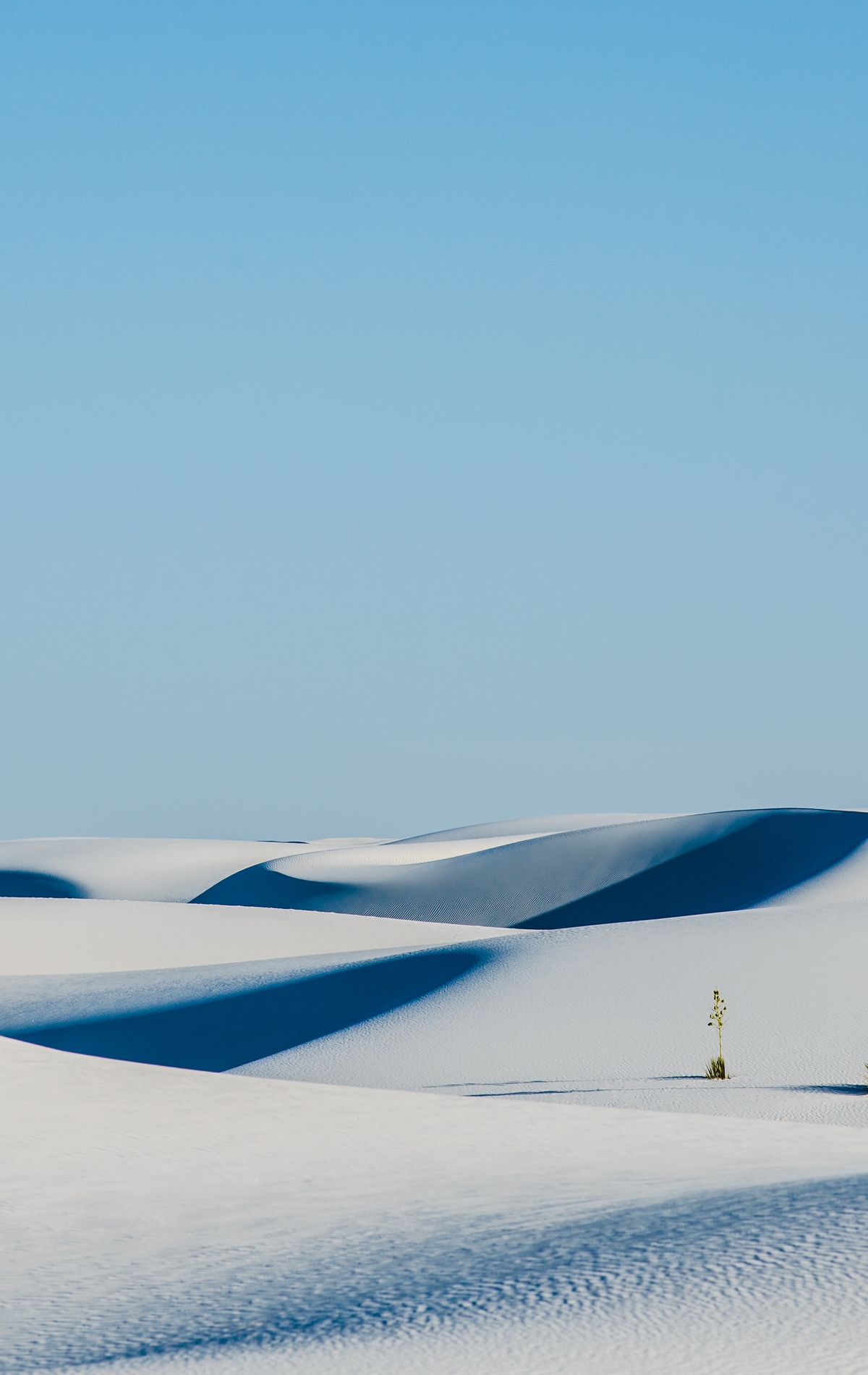 Image: White, sand, desert, sky