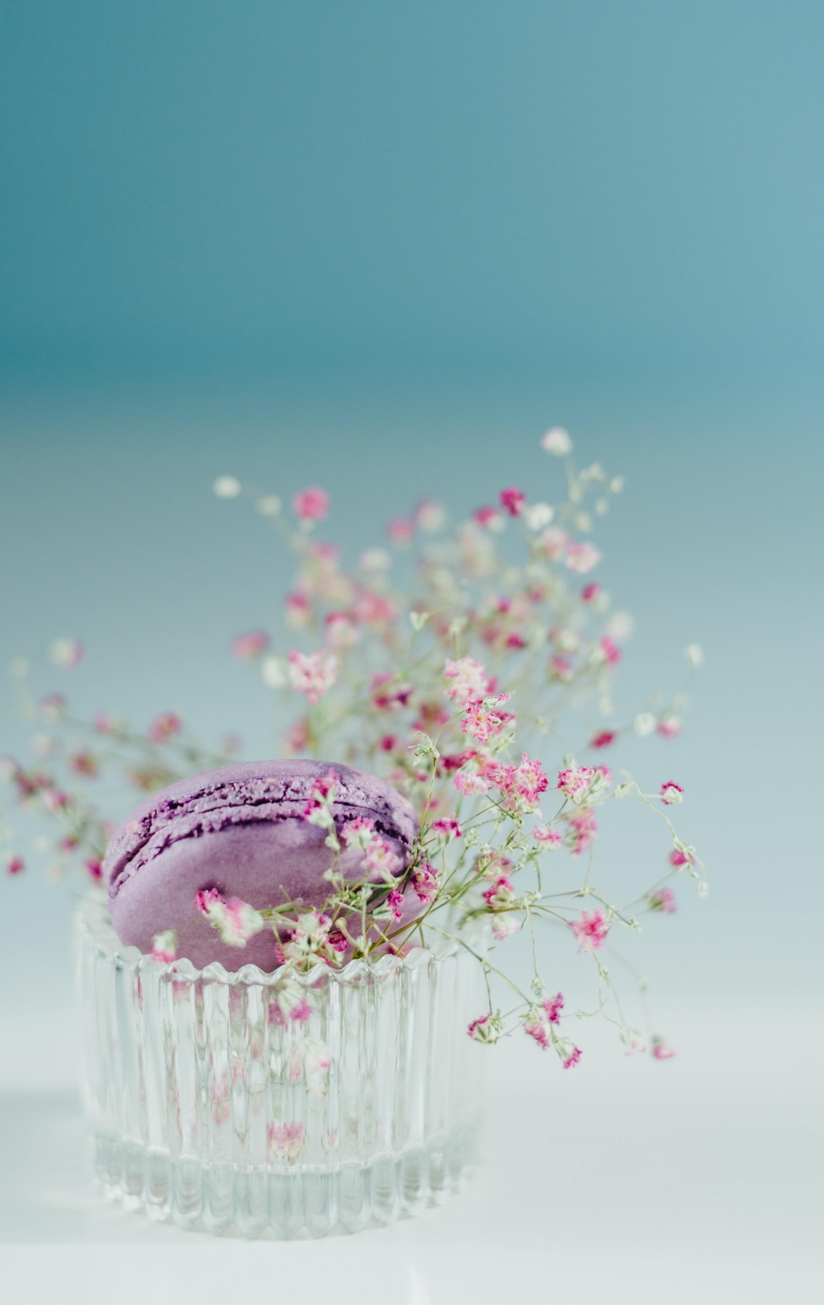 Картинка: Макарон, печенье, пирожное, сиреневое, стакан, цветочки, фотограф, Larissa Farber
